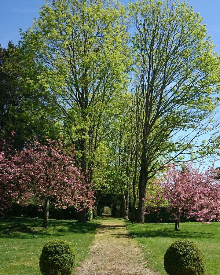 Domaine De Bourgville Monts-sur-Guesnes Exterior foto